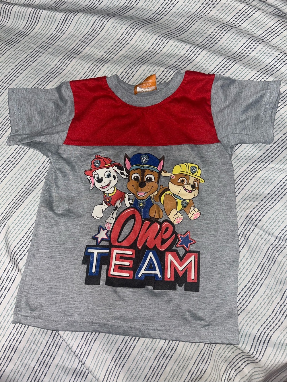 Gray & Red 'One Team' Paw Patrol Graphic Tee for Kids